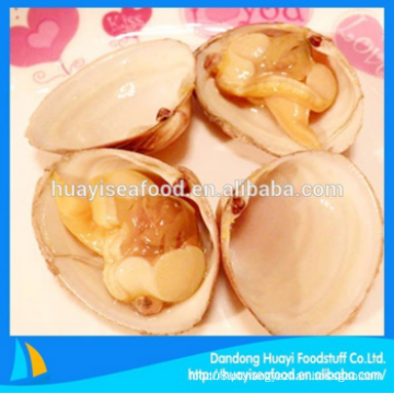 Bom gosto congelado abundância de surf clam bottom price